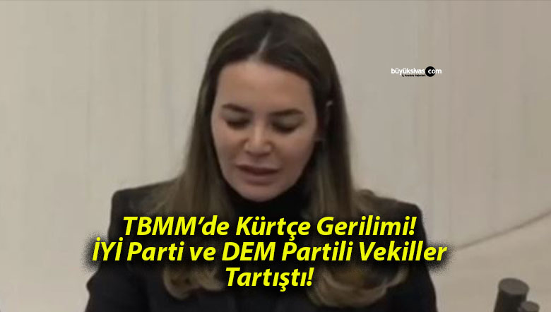 TBMM’de Kürtçe Gerilimi! İYİ Parti ve DEM Partili Vekiller Tartıştı!