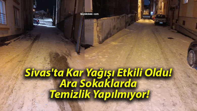 temizliksa