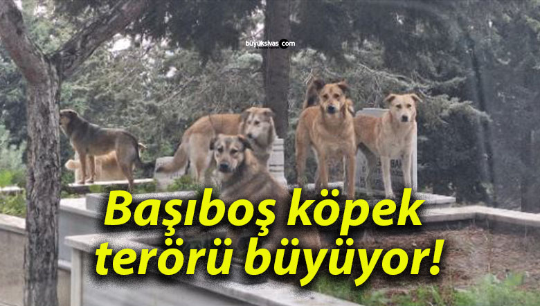 yüyüroas