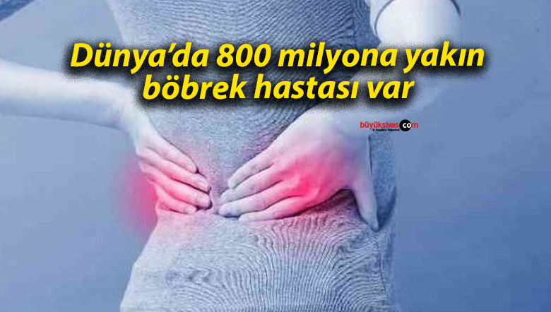 Dünya’da 800 milyona yakın böbrek hastası var