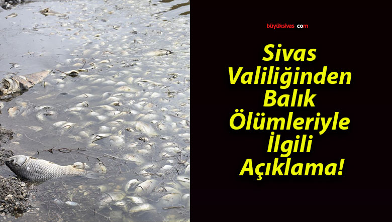 Sivas Valiliğinden Balık Ölümleriyle İlgili Açıklama!