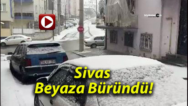 beyazas