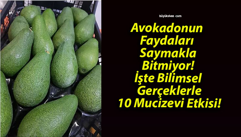 Avokadonun Faydaları Saymakla Bitmiyor! İşte Bilimsel Gerçeklerle 10 Mucizevi Etkisi!