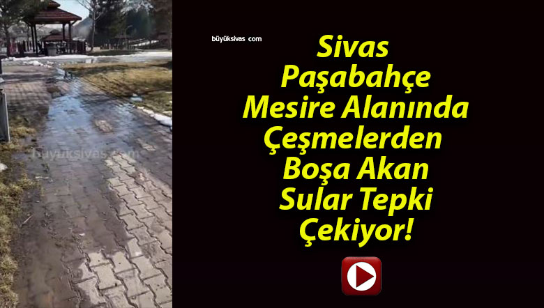 Sivas Paşabahçe Mesire Alanında Çeşmelerden Boşa Akan Sular Tepki Çekiyor!