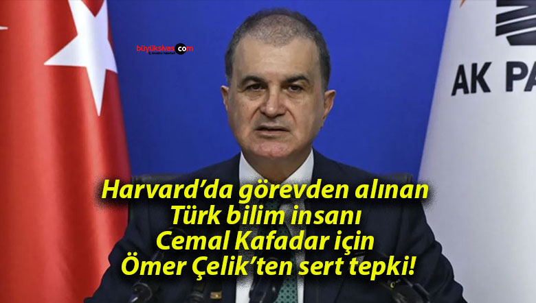 çeliksa