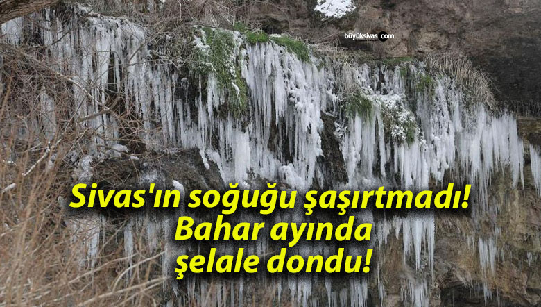 Sivas’ın soğuğu şaşırtmadı! Bahar ayında şelale dondu!