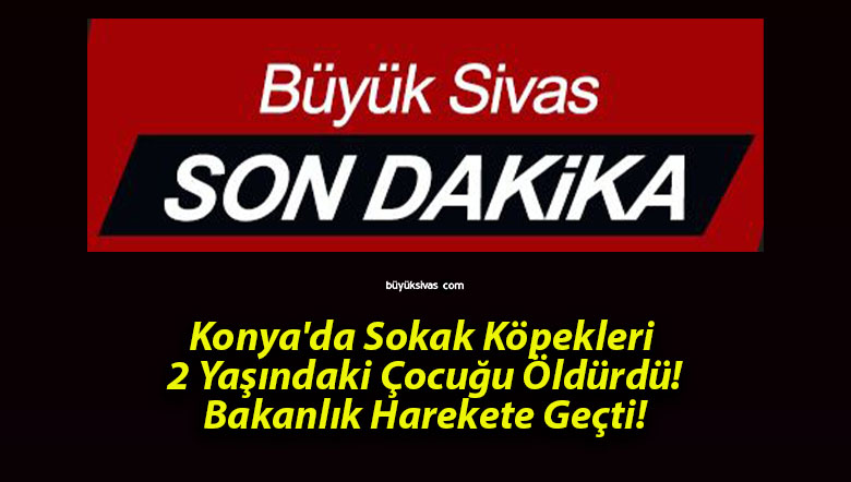 geçtirsa