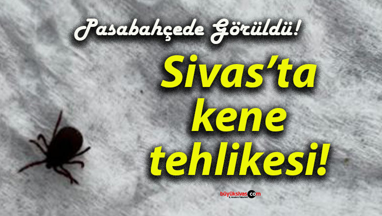 görüldüsa