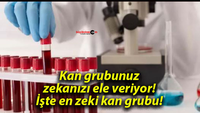 Kan grubunuz zekanızı ele veriyor! İşte en zeki kan grubu!