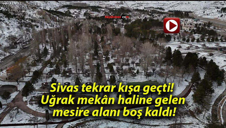 kaldısa