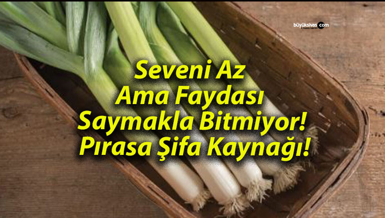 Seveni Az Ama Faydası Saymakla Bitmiyor! Pırasa Şifa Kaynağı!