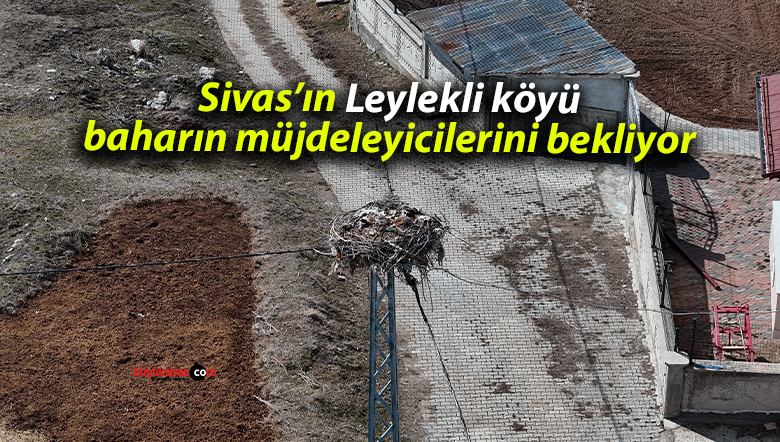 Sivas’ın ‘Leylekli köyü’, baharın müjdeleyicilerini bekliyor