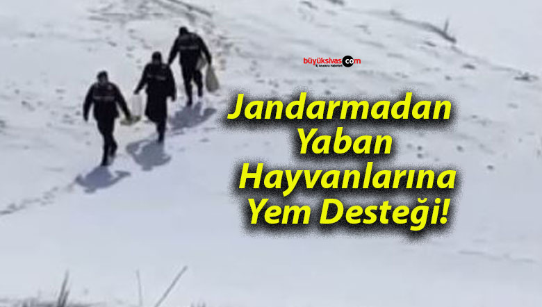 Jandarmadan Yaban Hayvanlarına Yem Desteği!