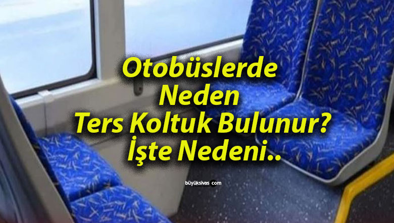 Otobüslerde Neden Ters Koltuk Bulunur? İşte Nedeni..