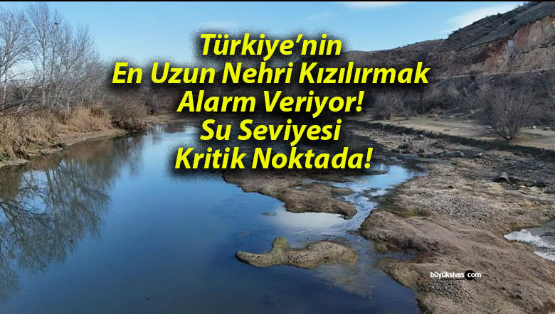 noktada