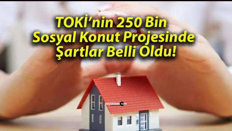 projes