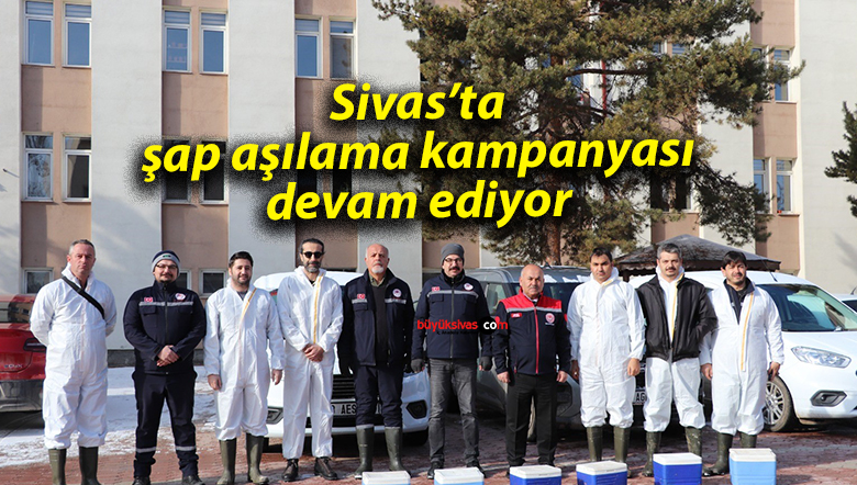 şap