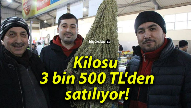 Kilosu 3 bin 500 TL’den satılıyor!
