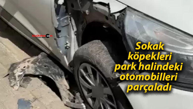 sokak