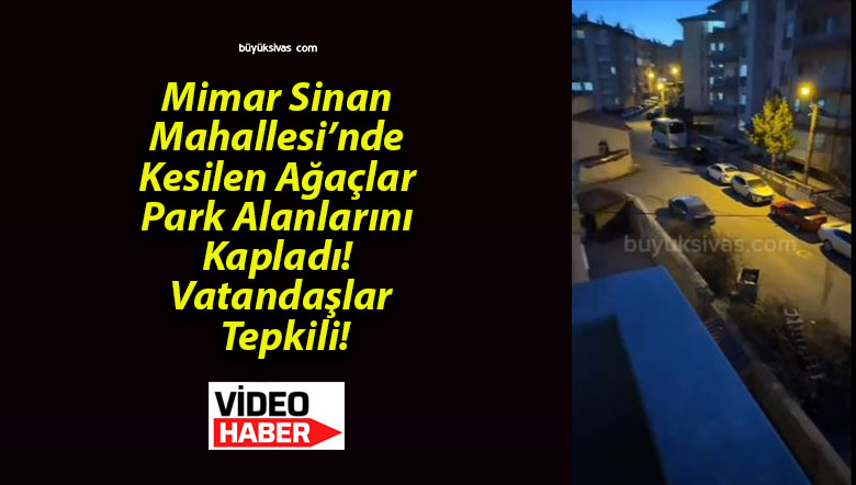 Mimar Sinan Mahallesi’nde Kesilen Ağaçlar Park Alanlarını Kapladı! Vatandaşlar Tepkili!