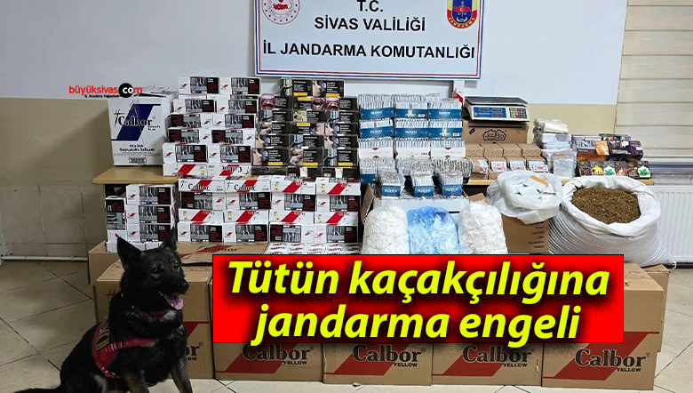 Tütün kaçakçılığına jandarma engeli
