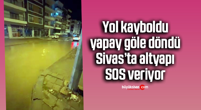 yapay göl