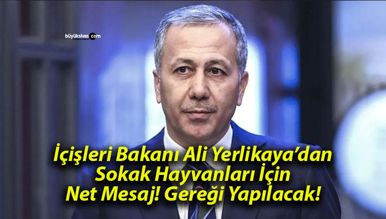 İçişleri Bakanı Ali Yerlikaya’dan Sokak Hayvanları İçin Net Mesaj! Gereği Yapılacak!