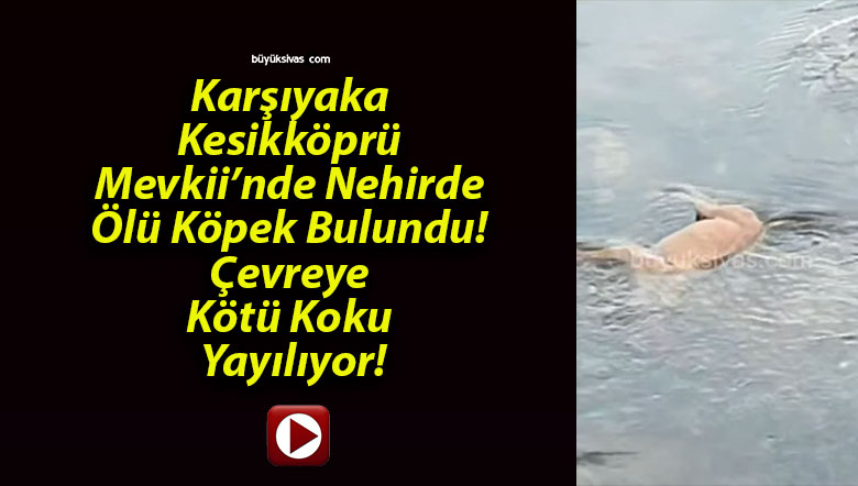 yayılıyorsa