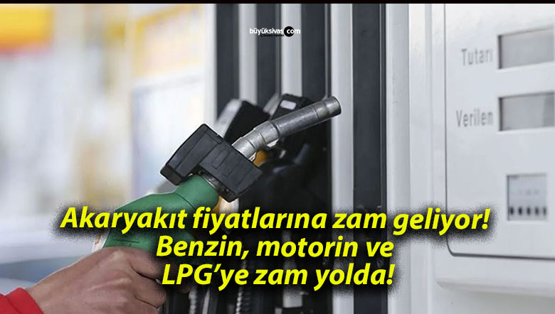 zamsa