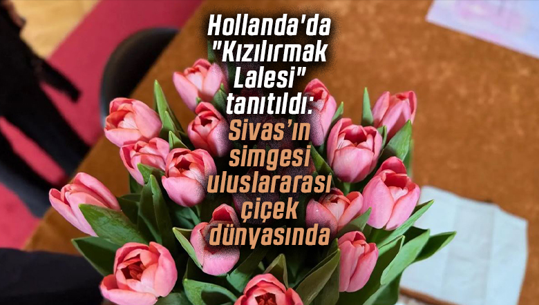 Kızılırmak Lalesi