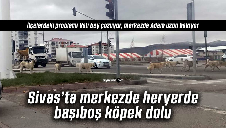 Sivas’ta ilçeler ve köyler nefes alacak, merkez beklemede