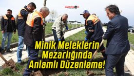 anlamlıs