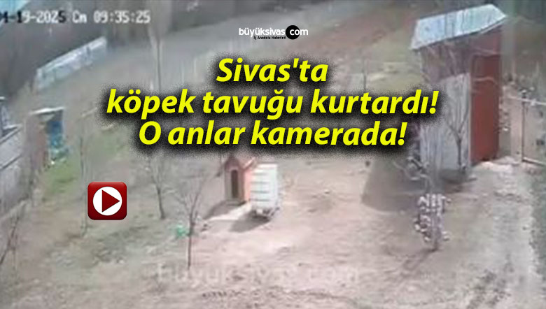anlarsa