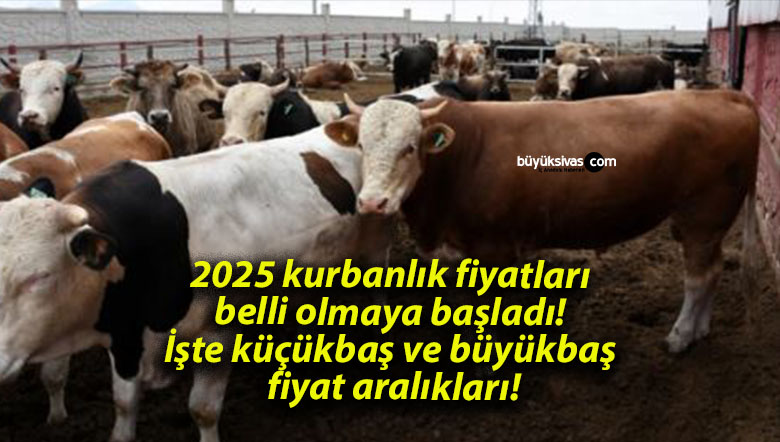 2025 kurbanlık fiyatları belli olmaya başladı! İşte küçükbaş ve büyükbaş fiyat aralıkları!