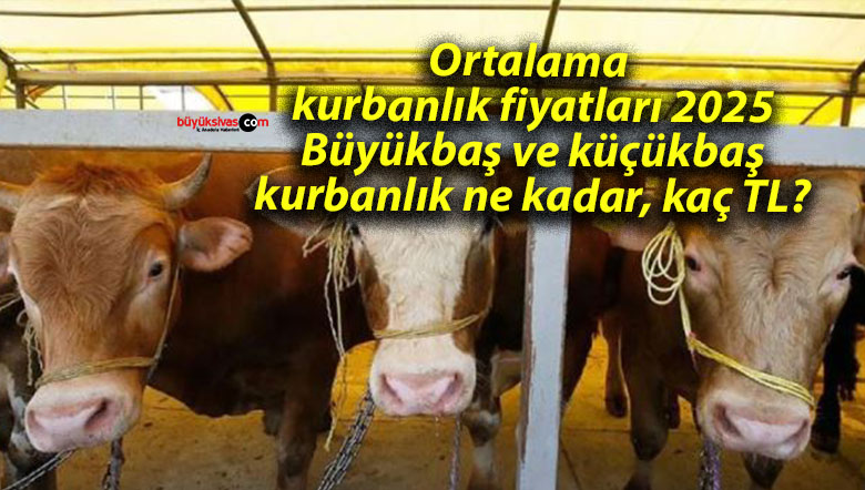Ortalama kurbanlık fiyatları 2025: Büyükbaş ve küçükbaş kurbanlık ne kadar, kaç TL?