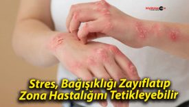 Stres, Bağışıklığı Zayıflatıp Zona Hastalığını Tetikleyebilir