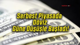 Serbest Piyasada Döviz Güne Düşüşle Başladı!