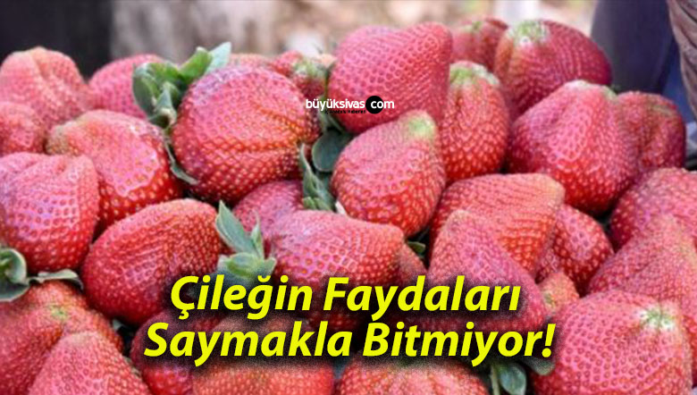 Çileğin Faydaları Saymakla Bitmiyor!