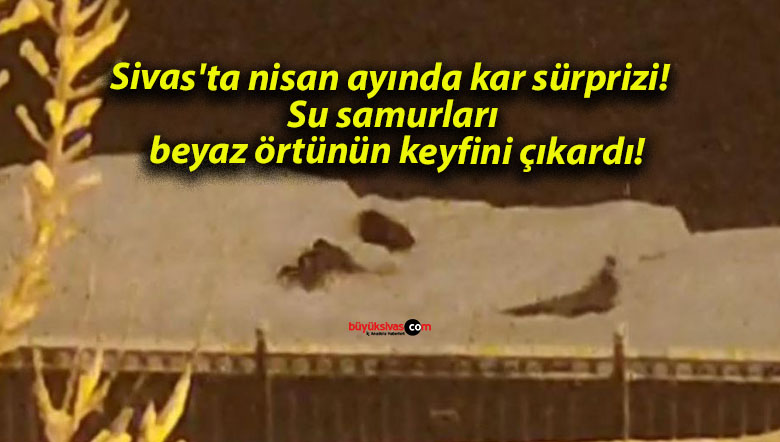 çıkard