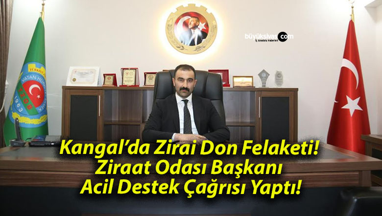 Kangal’da Zirai Don Felaketi! Ziraat Odası Başkanı Acil Destek Çağrısı Yaptı!