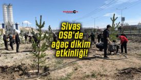 dikimsa