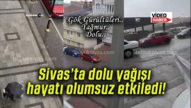 dolsa