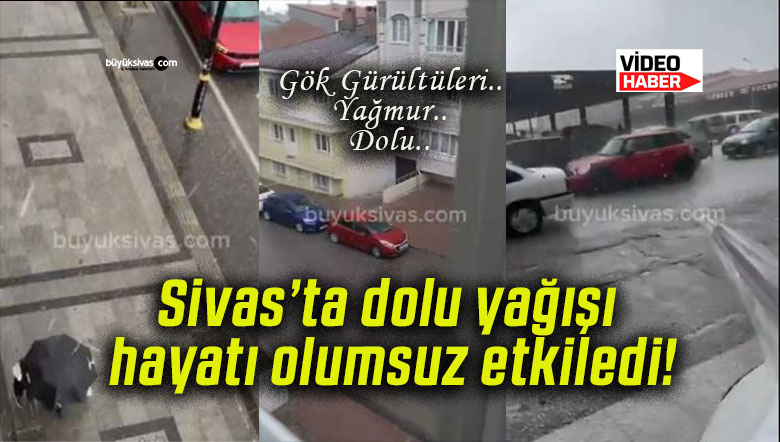 dolsa