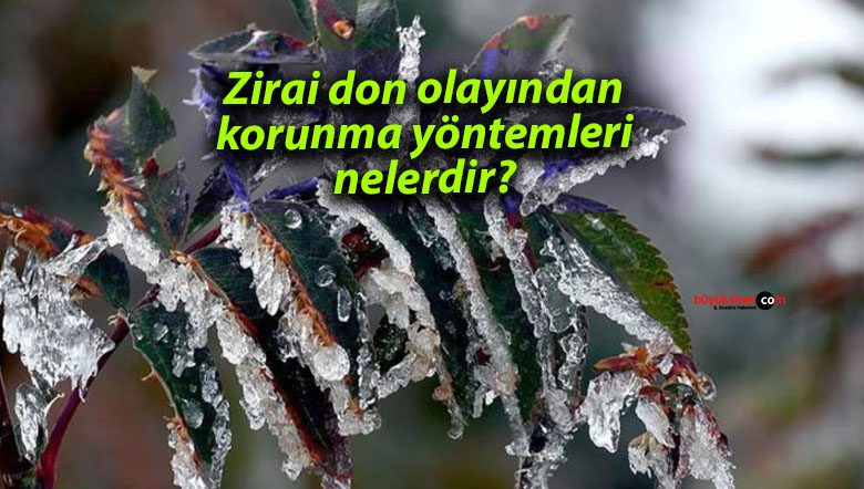 Zirai don olayından korunma yöntemleri nelerdir?