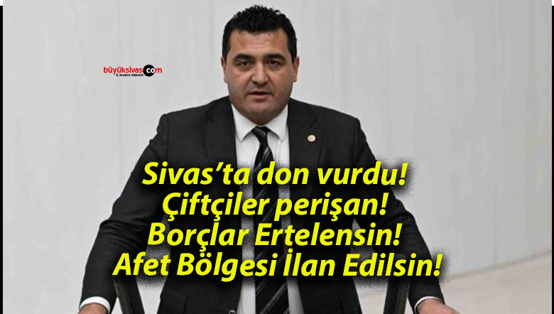 edilsa