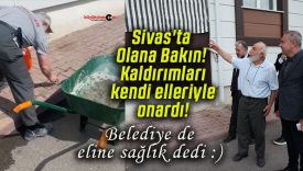 elinesa