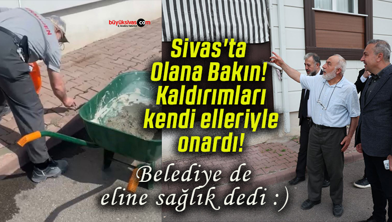 elinesa