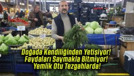 Doğada Kendiliğinden Yetişiyor! Faydaları Saymakla Bitmiyor! Yemlik Otu Tezgahlarda!