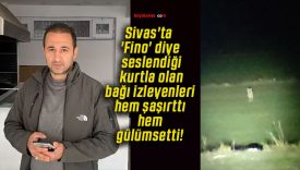 gülümsa