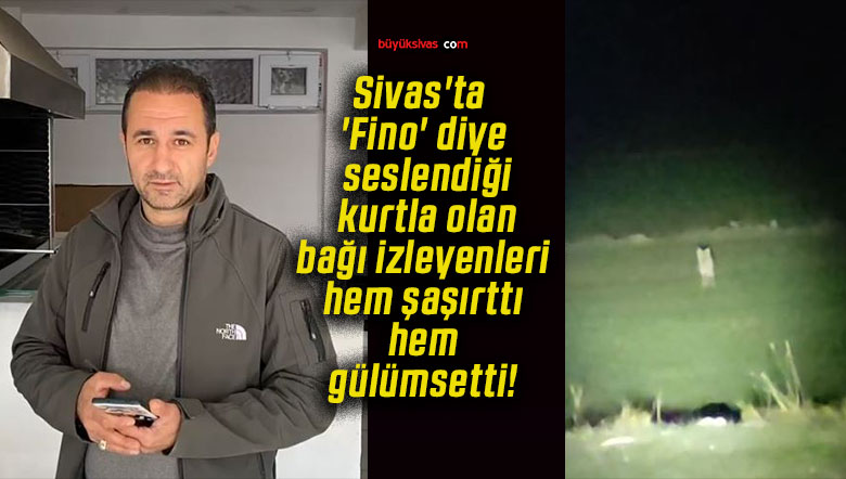gülümsa